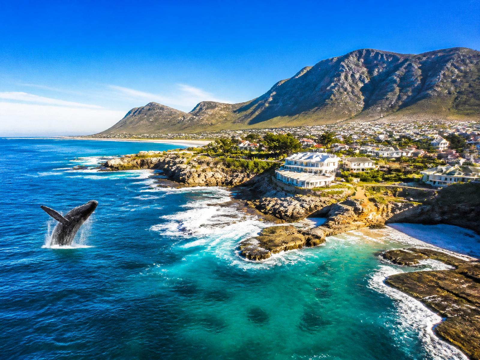 Hermanus